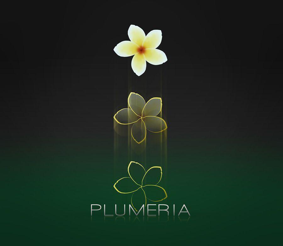 Plumeria Logo - plumeria logo formation WORKS infinite solution