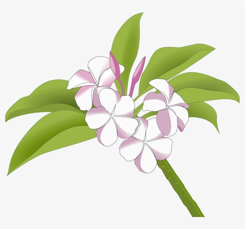 Plumeria Logo - Floral Design Drawing Red Frangipani Flower Plumeria - Logo Bunga ...
