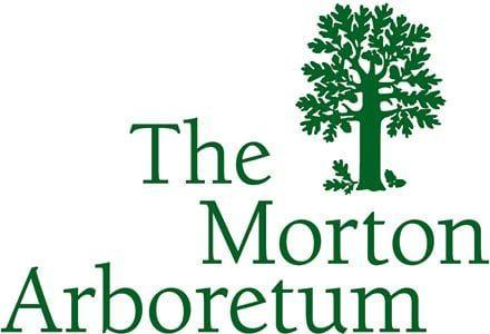 Morton Logo - Morton-Arboretum-Logo | Taylor Studios Inc.