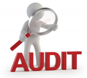 Audit Logo - Preparing For An Audit Haines Norton