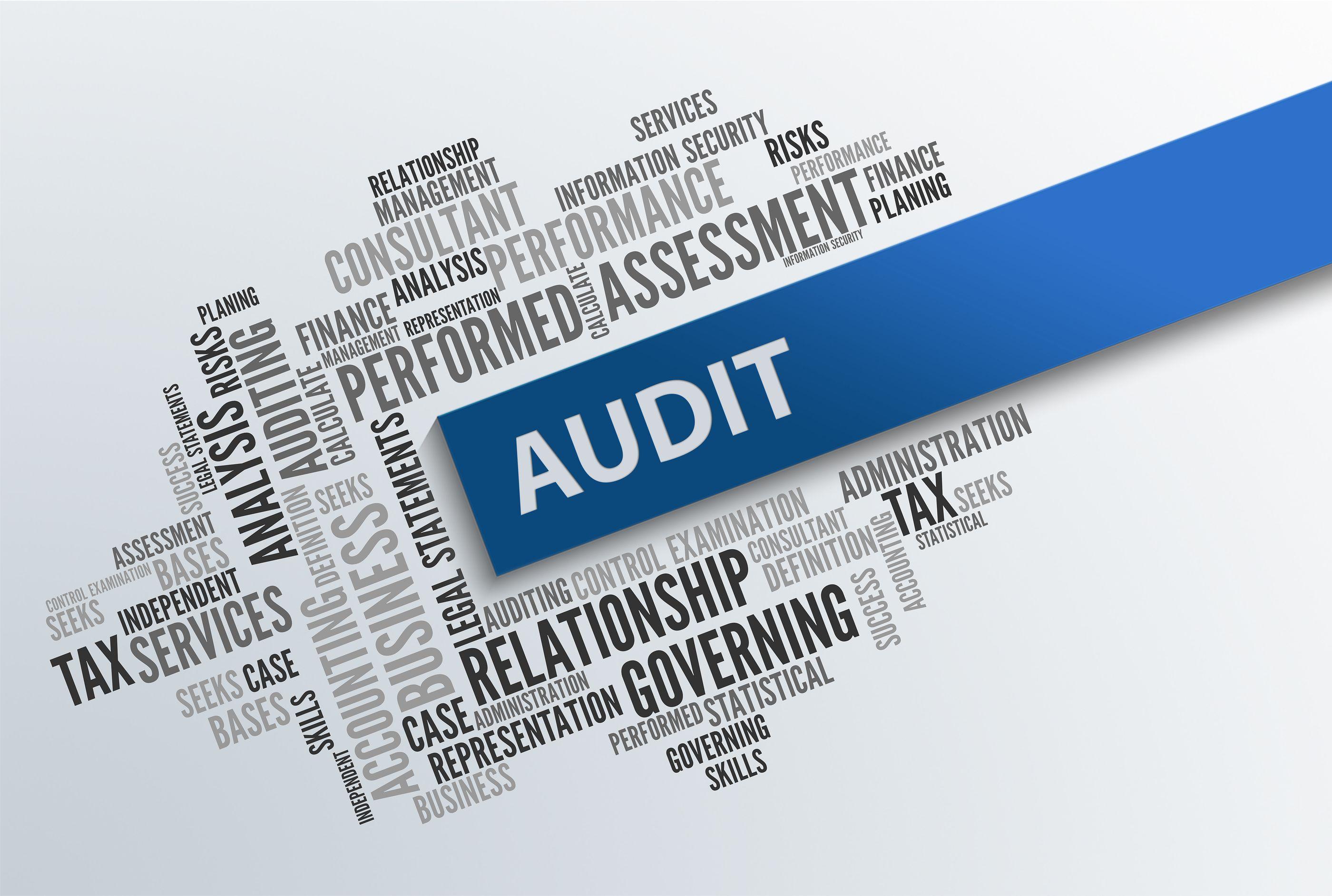 Audit Logo - JMS Advisory Group - Audit Defense