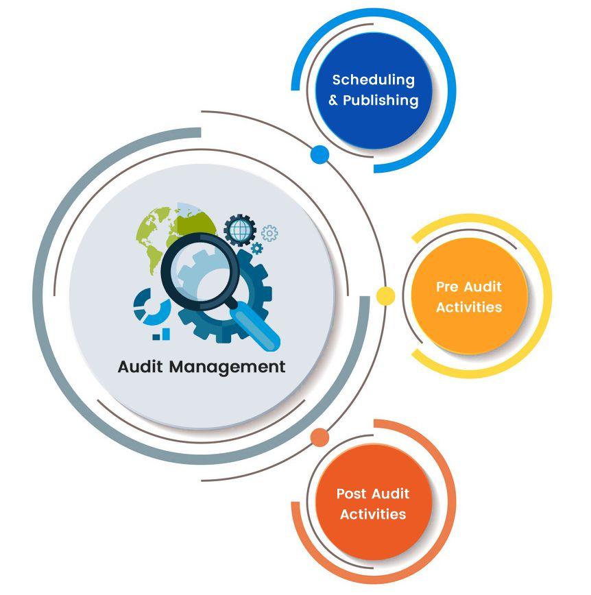 Audit Logo - Audit management software. Process Management software. Internal