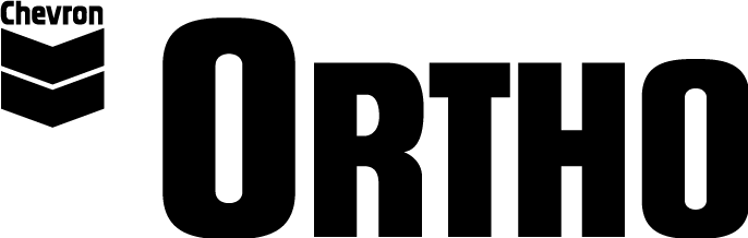 Ortho Logo - Ortho logo (90482) Free AI, EPS Download / 4 Vector