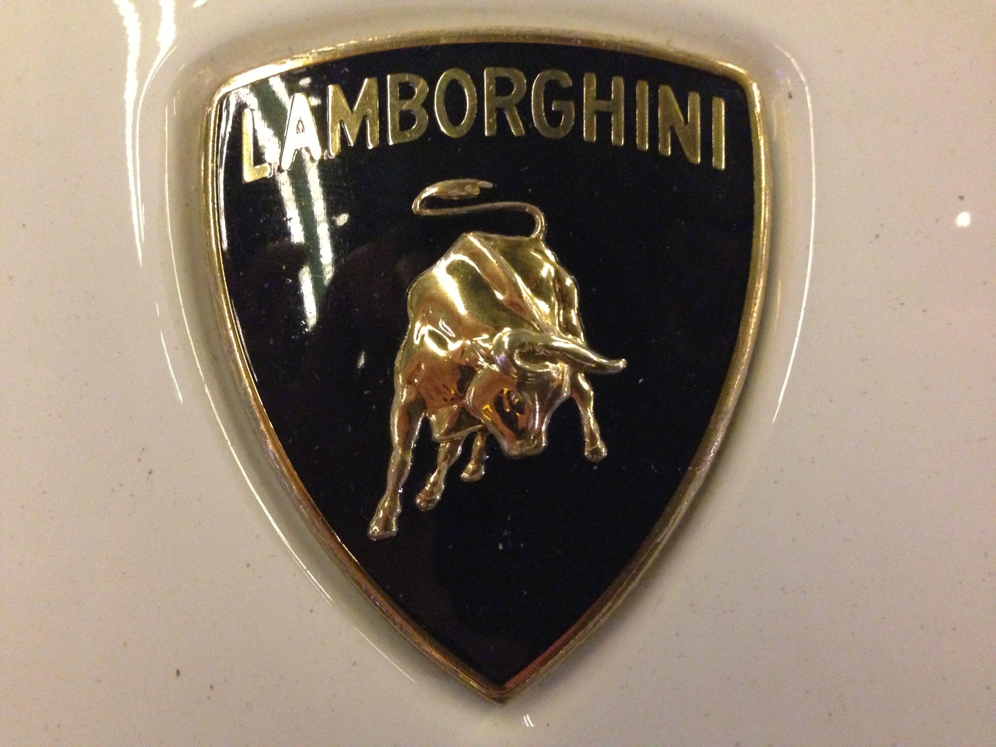 Lanmborghini Logo - File:Lamborghini Logo.jpg - Wikimedia Commons