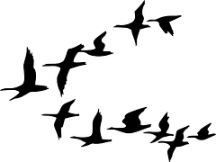 Geese Logo - Geese Logo Almost Silhouette Pixabay 36087__180