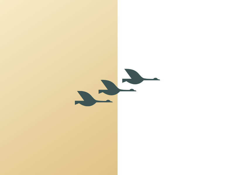 Geese Logo - Team Of Geese 1 2 By J.R.Dickie On Dribbble