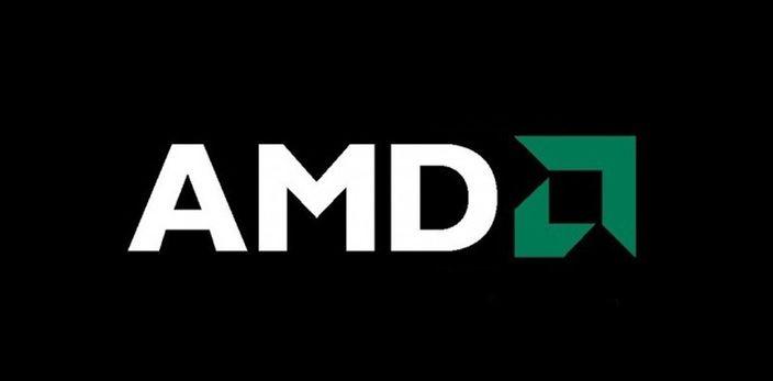 Flaw Logo - AMD Quickly Rebukes Intel's Characterization of the Chip Flaw and ...