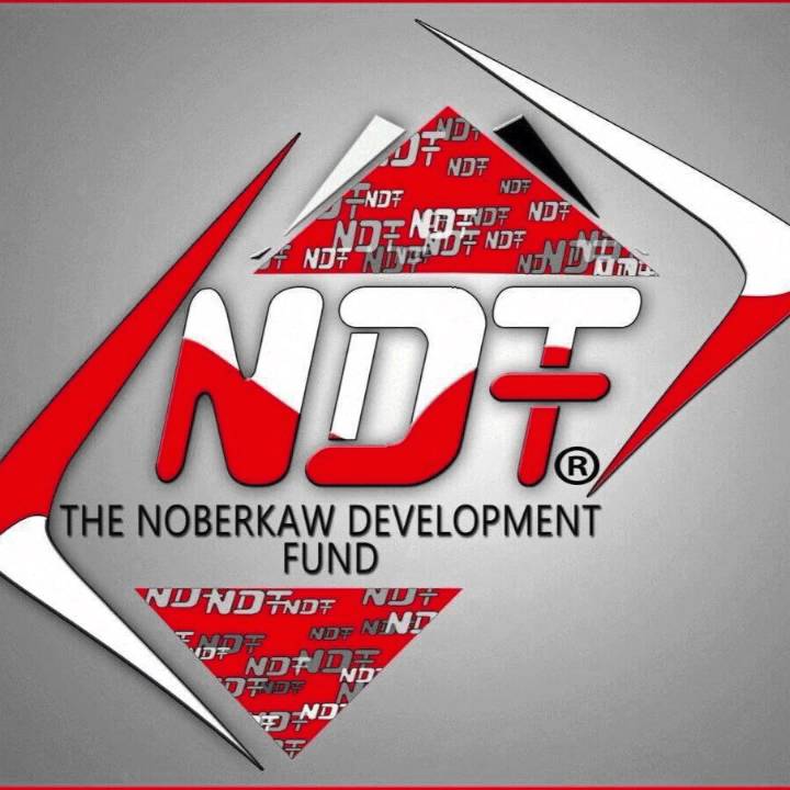 NDF Logo - NDF Logo