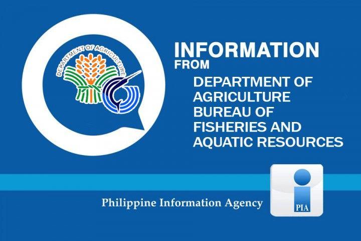 Bfar Logo - Report illegal fishing. Philippine Information Agency