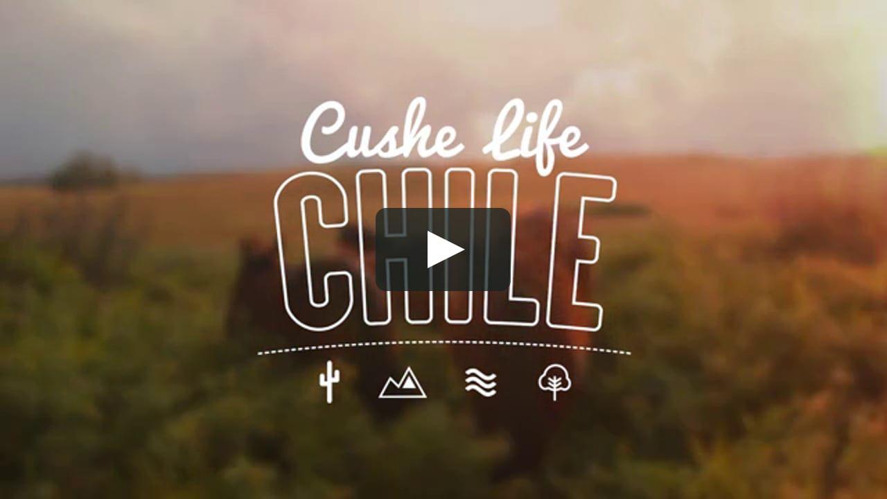 Cushe Logo - Cushe Footwear