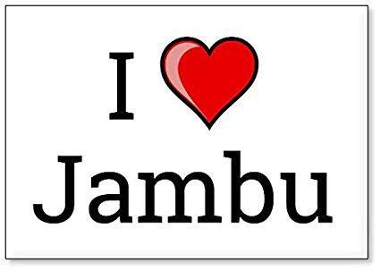Jambu Logo - I Love Jambu, fridge magnet (design 3): Kitchen & Dining