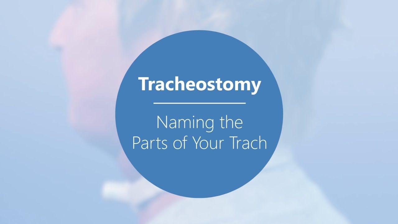 Trach Logo - Caring for Your Tracheostomy – Naming the Parts of Your Trach: Princess  Margaret Cancer Centre