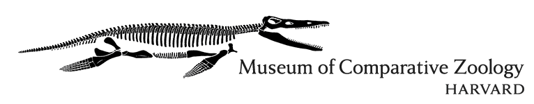 Zoologo Logo - Museum of Comparative Zoology