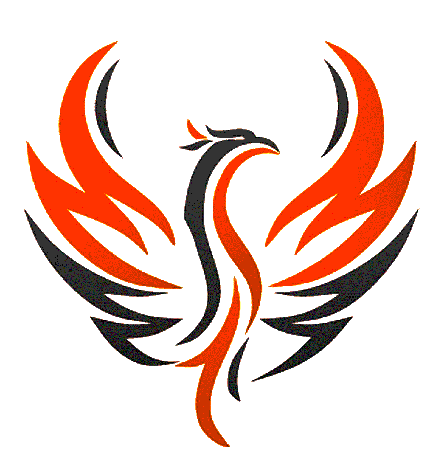 PHOENIX1 Logo - CONTACT | Phoenix1