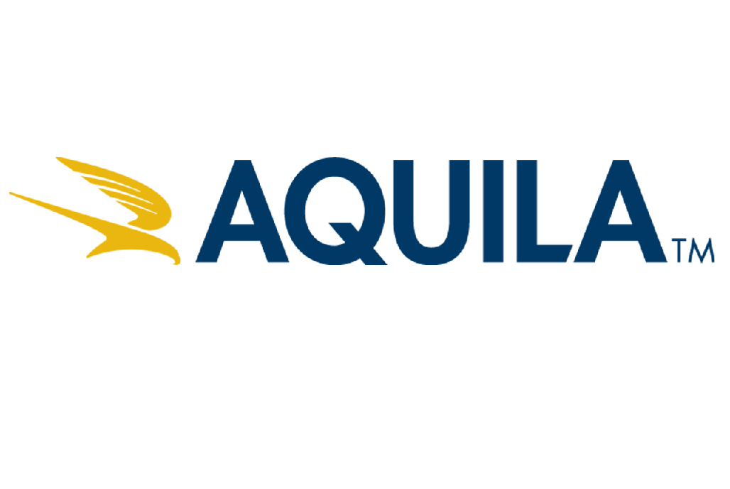 Aquila Logo - Aquila Logo Color White Space Added. The National Domestic Violence