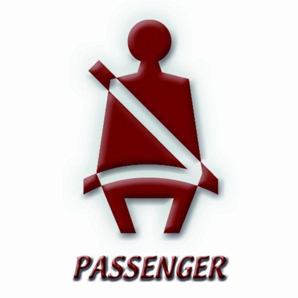 Passenger Logo - Cat 5 by Passenger the Band