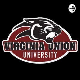 Vuu Logo - Panther Podcast on Apple Podcasts