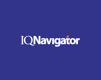 IQNavigator Logo - Logopond - Logo, Brand & Identity Inspiration (IQ Navigator)