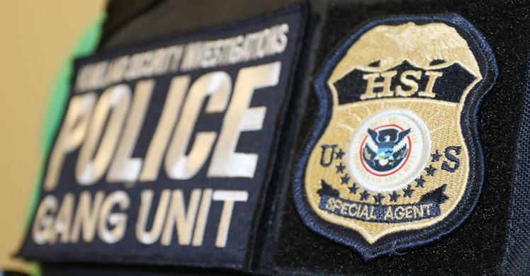 HSI Logo - 12 charged following ICE HSI New York and NYPD joint investigation | ICE