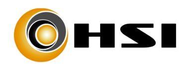 HSI Logo - hsi-logo - Vertz and Company Vertz and Company