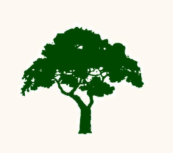 Trees Logo - tree logo - Google Search | Tree logo | Tree logos, Logos, Logo google