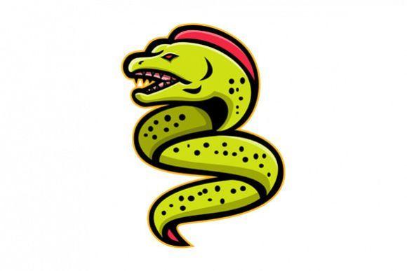 Eel Logo - Moray Eel Sports Mascot