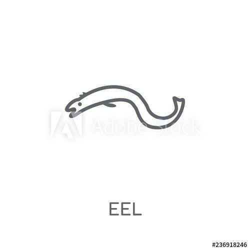 Eel Logo - Eel linear icon. Modern outline Eel logo concept on white background