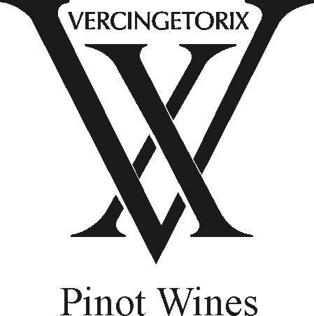 VX Logo - VX Vineyard June News