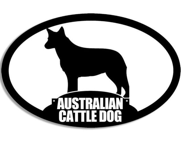 Heeler Logo - 3x5 Inch Oval Blue Heeler Sticker - Aussie ACD Australian Cattle Dog  Silhouette