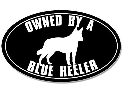 Heeler Logo - American Vinyl Oval Owned by a Blue Heeler Sticker (Australian Cattle Dog)