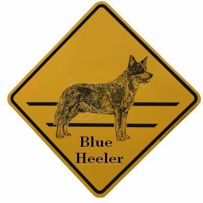 Heeler Logo - Blue Heeler