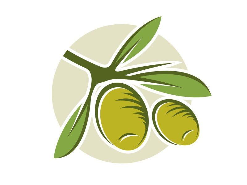 Olive Logo - Olive Oil Logo by Alberto Bernabe on Dribbble