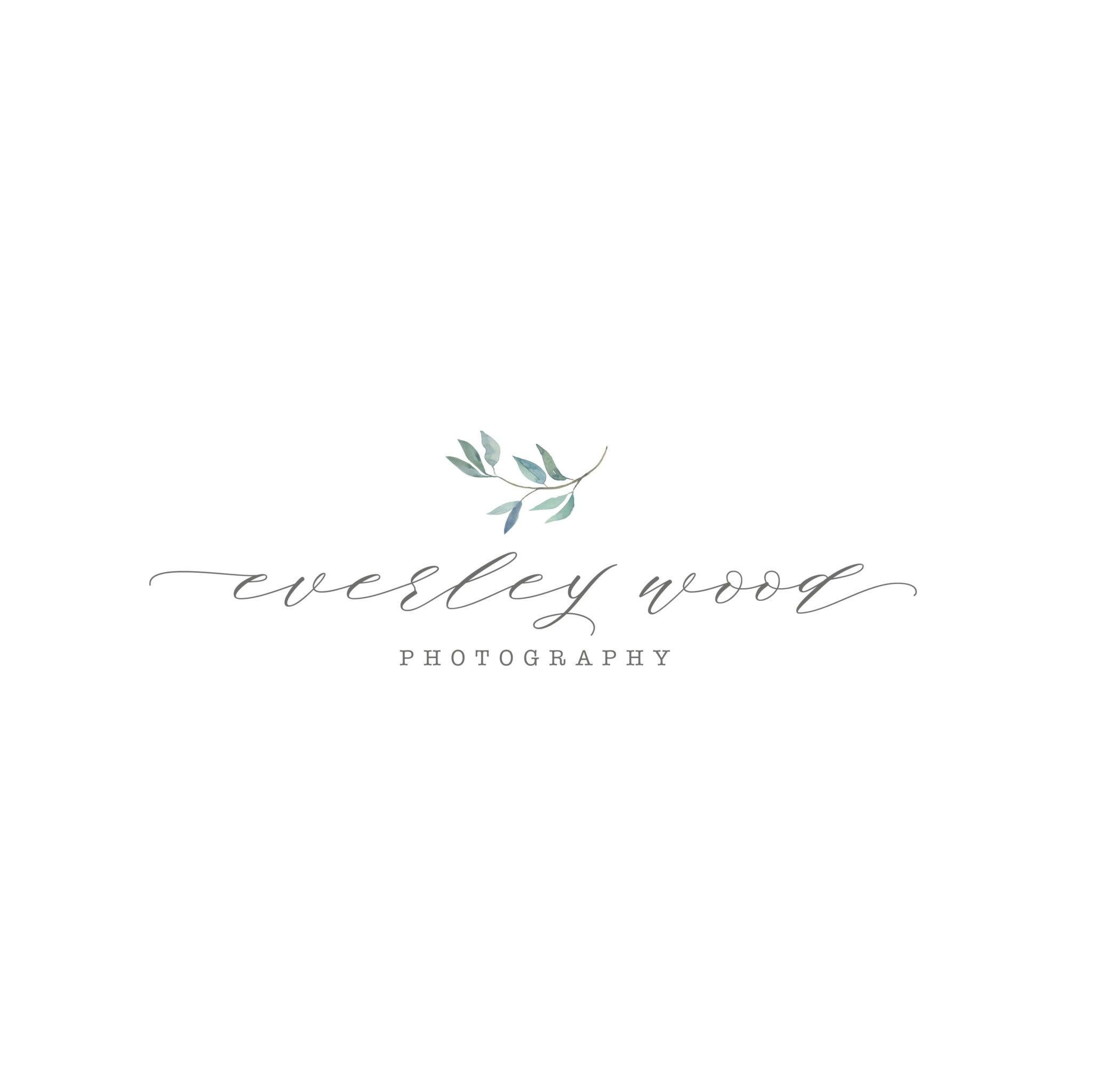 Olive Logo - Watercolor Olive Branch – Pre Made Logo