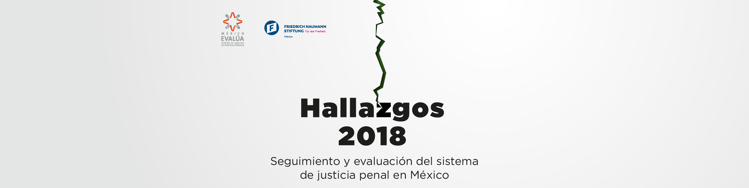 Hallazgos Logo - Hallazgos 2018: Seguimiento y evaluación del sistema de justicia