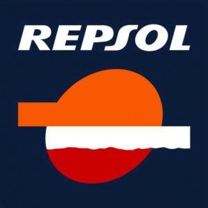 Hallazgos Logo - Repsol da un salto en exploración y producción con 24 hallazgos