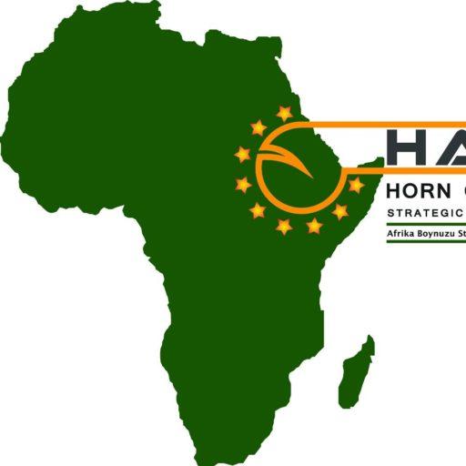 Hass Logo - cropped-HASS-LOGO-1.jpg – Horn of Africa Strategic Studies