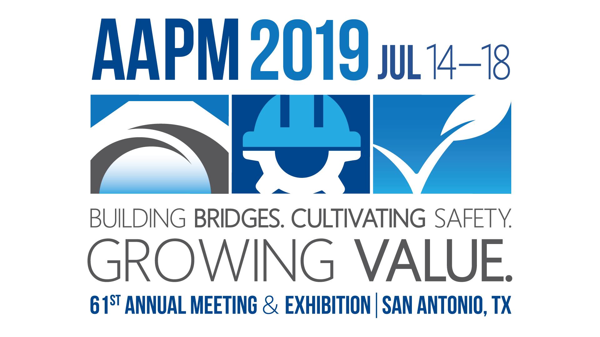 AAPM Logo - AAPM Meeting at San Antonio, USA: Financial support to AMPI Life ...