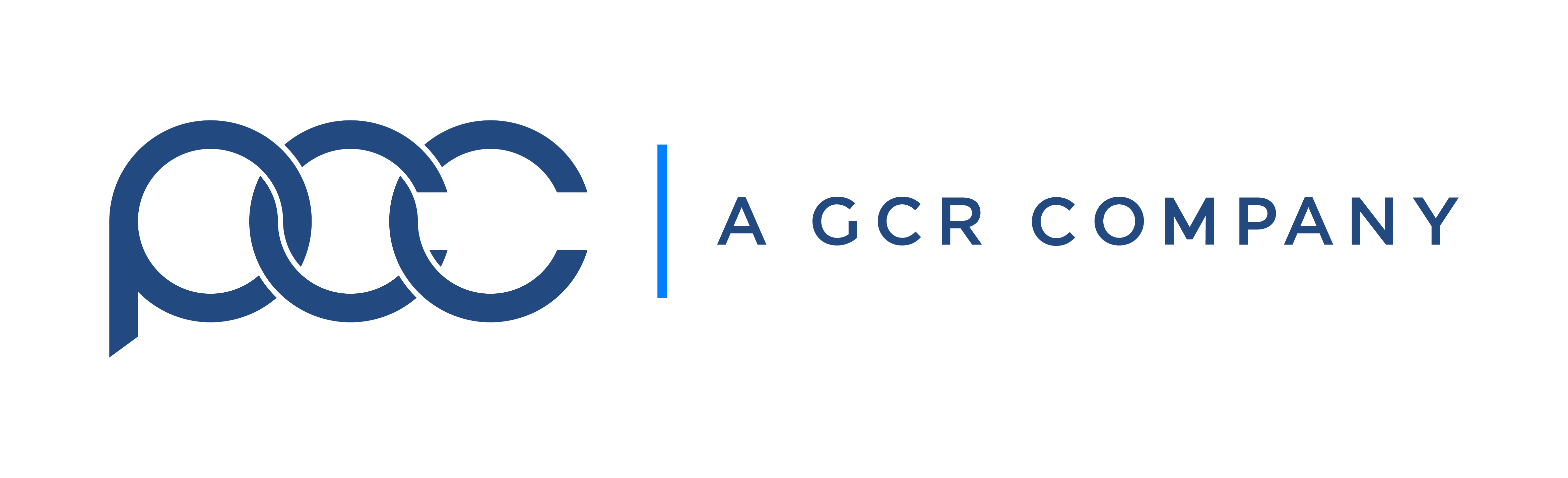 GCR Logo - GCR Inc. - Public Sector Solutions - Software and Consulting