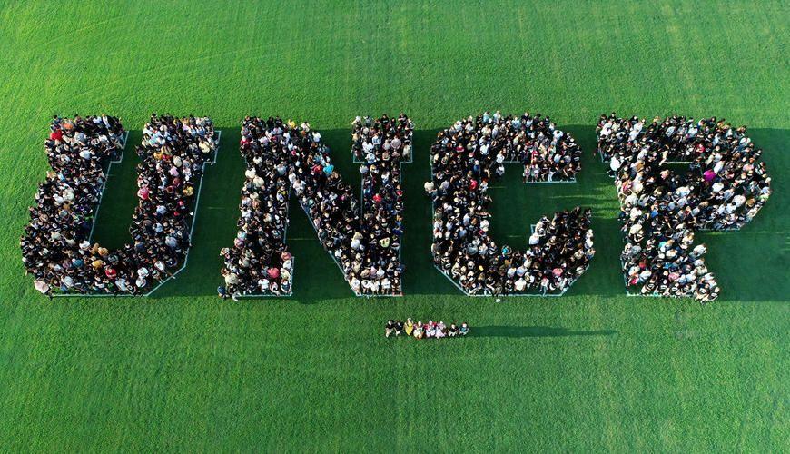 UNCP Logo - 2019 Summer Orientation (Freshman) | The University of North ...