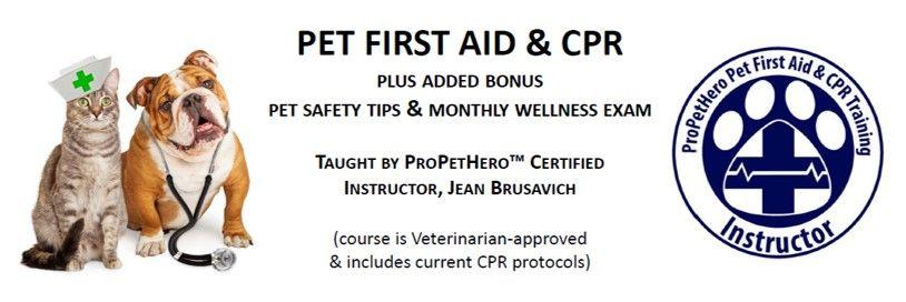 PFA Logo - Pet First Aid, CPR and Pet Safety Workshop - Tranquil Pet