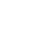 Steyr Logo - Welcome to Steyr Arms USA