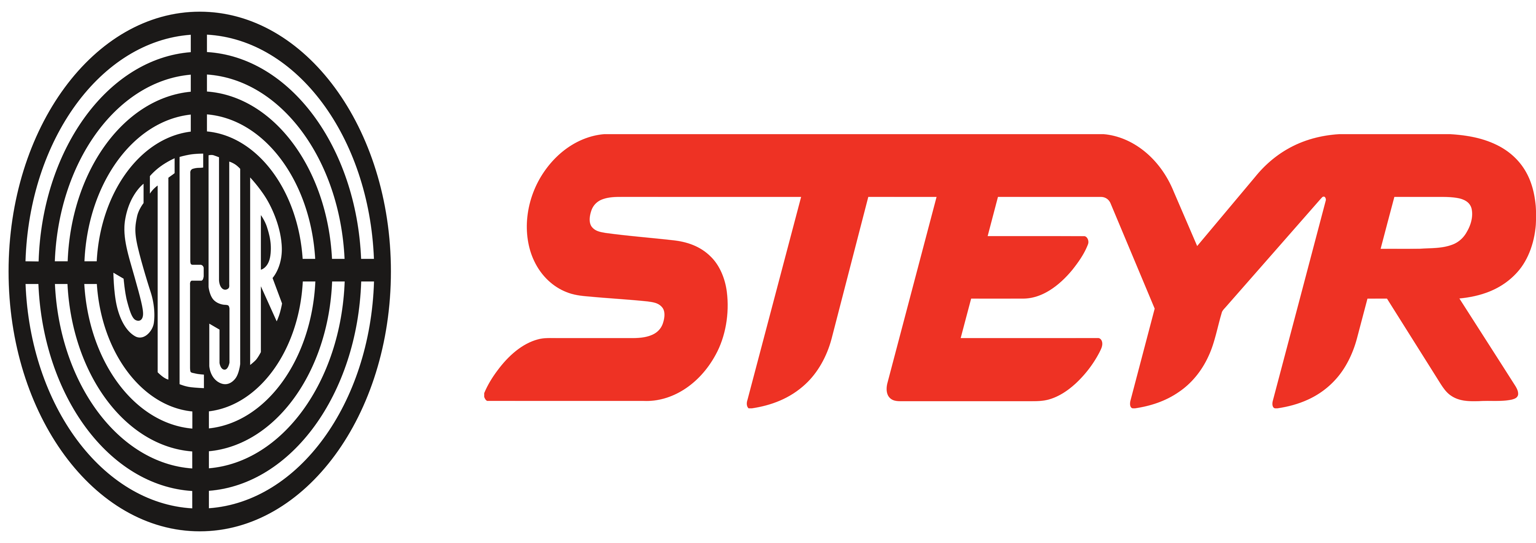 Styer Logo - Steyr Mannlicher AG – Logos Download