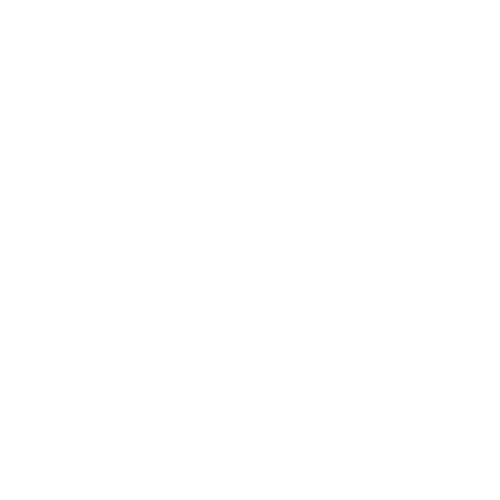Steyr Logo - Welcome to Steyr Arms USA