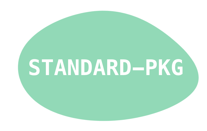 Pkg Logo - GitHub Standard Pkg: Standard NPM Package Format