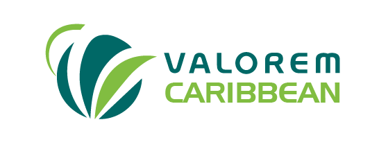 Valorem Logo - VALOREM around the world