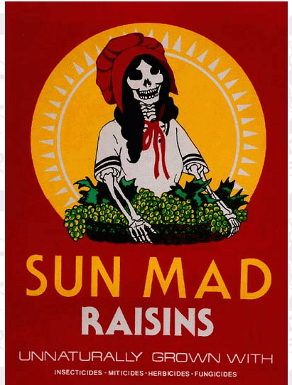 Sun-Maid Logo - Sun Maid Girls