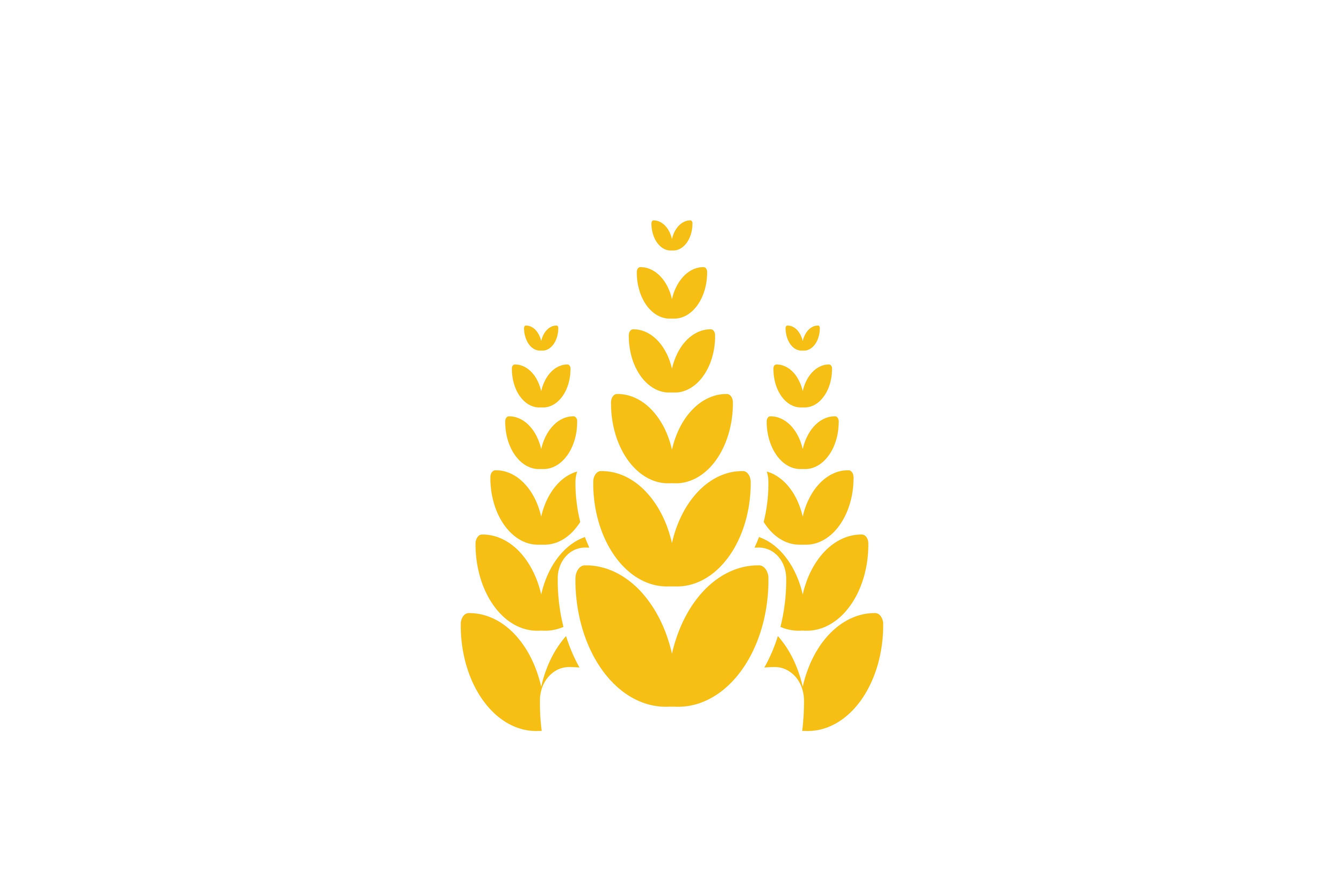 Grain Logo - Wheat Grain Agriculture Logo