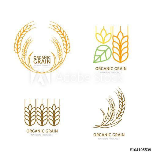 Grain Logo - Set of organic wheat grain outline icons. Vector logo design