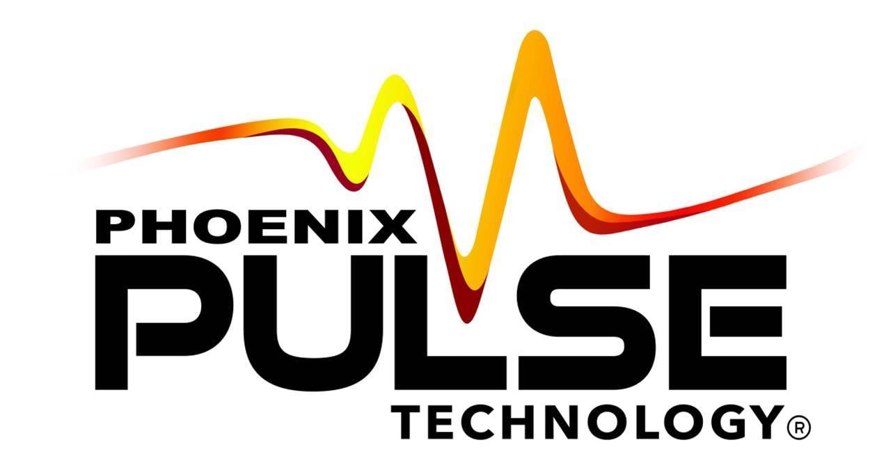 Pulse Logo - Phoenix PULSE Technology logo