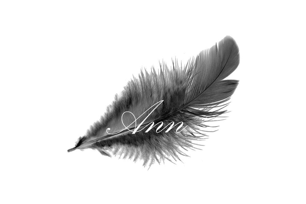 Ann Logo - Logo ANN | Tomenchuk Igor - BRANDING & DESIGN